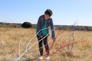 discapacidad-intelectual-en-el-medio-rural